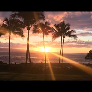 Meet your Posher, Deanna